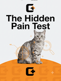 The Hidden Pain Test